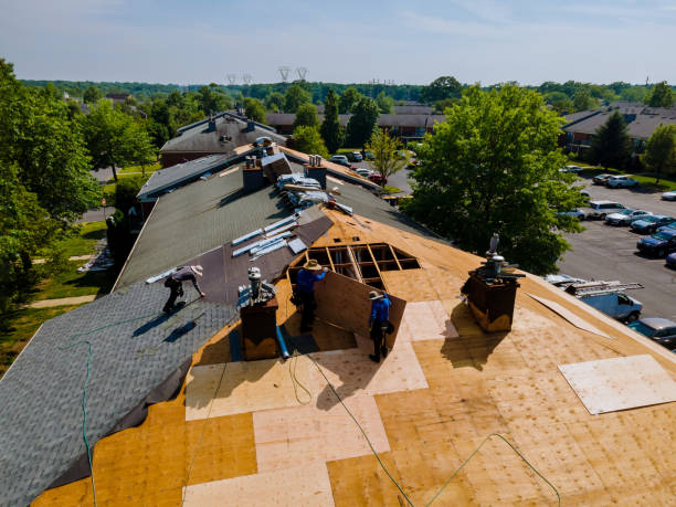 Slate Roofing Contractor in Reese, MI