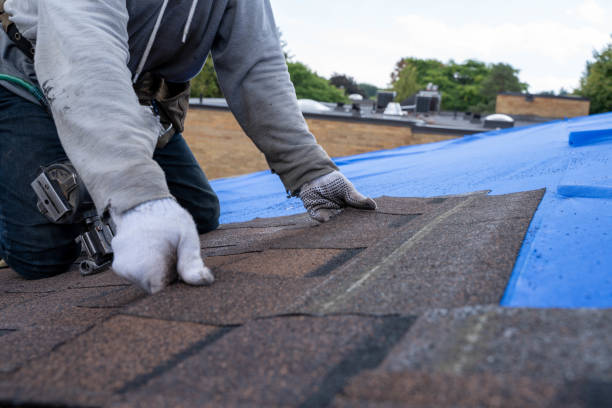Best Metal Roofing Contractor  in Reese, MI
