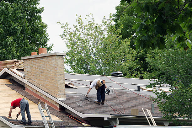 Best Local Roofing Companies  in Reese, MI