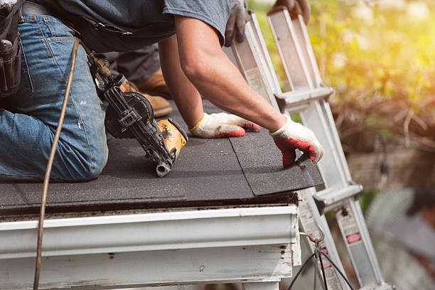 Best Roof Restoration Services  in Reese, MI