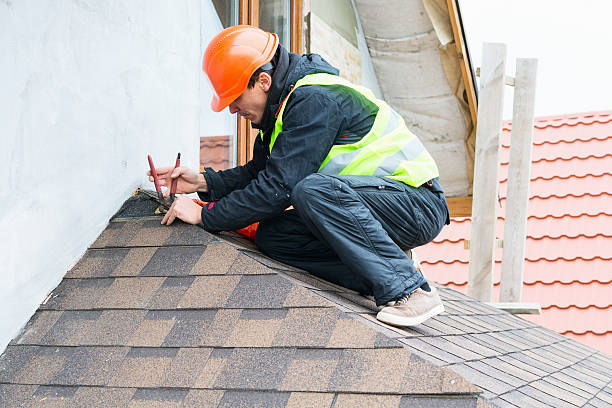 Best Shingle Roofing Installation  in Reese, MI